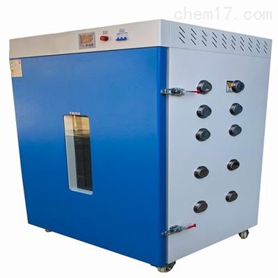 DHG-9260A非標定制款立式電熱鼓風(fēng)干燥箱